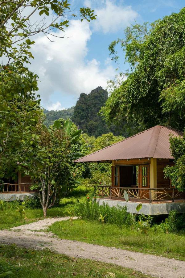 Monkey Mansion - Jungalows & Tours Khao Sok National Park エクステリア 写真