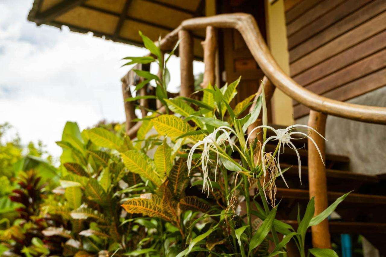 Monkey Mansion - Jungalows & Tours Khao Sok National Park エクステリア 写真