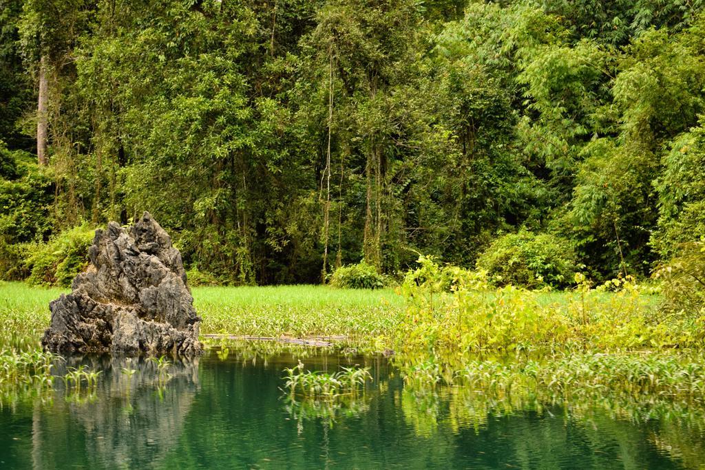 Monkey Mansion - Jungalows & Tours Khao Sok National Park エクステリア 写真